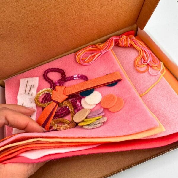 Felt Craft gift set